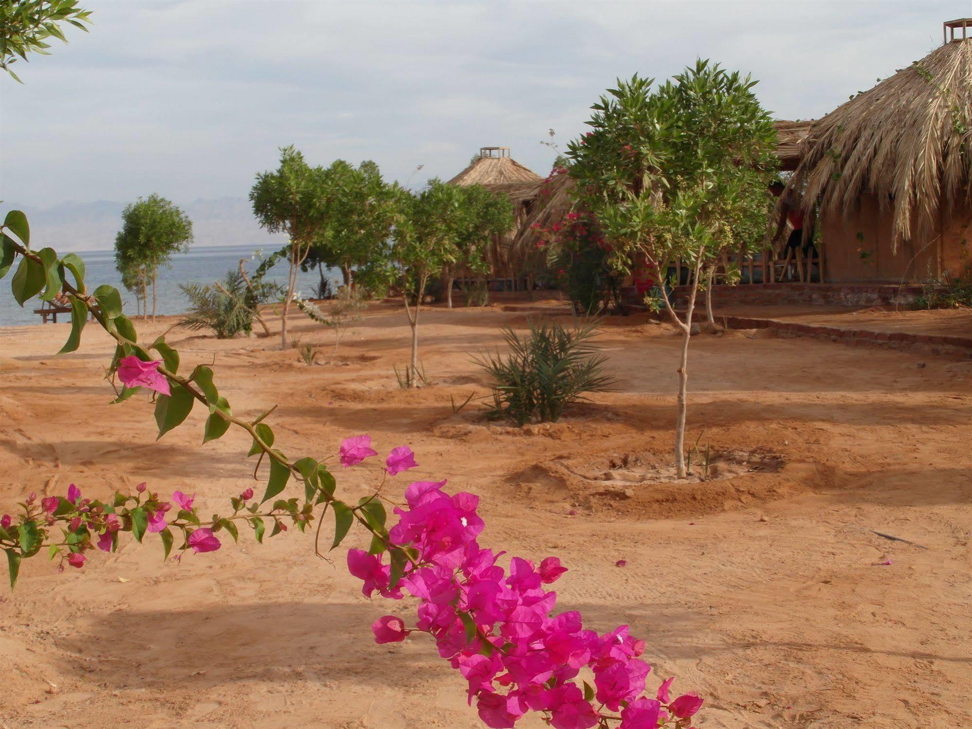 Hotel Bedouin Star Taba Exteriér fotografie