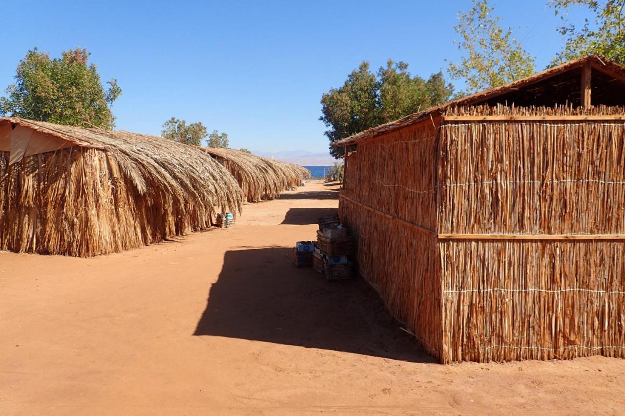 Hotel Bedouin Star Taba Pokoj fotografie